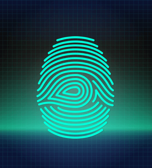 Security Fingerprint